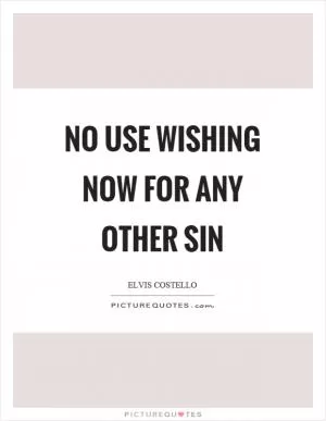No use wishing now for any other sin Picture Quote #1