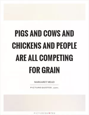 Pigs and cows and chickens and people are all competing for grain Picture Quote #1