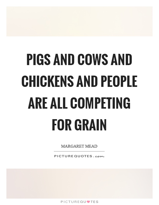 Pigs and cows and chickens and people are all competing for grain Picture Quote #1