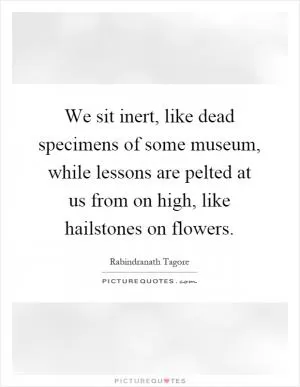 We sit inert, like dead specimens of some museum, while lessons are pelted at us from on high, like hailstones on flowers Picture Quote #1
