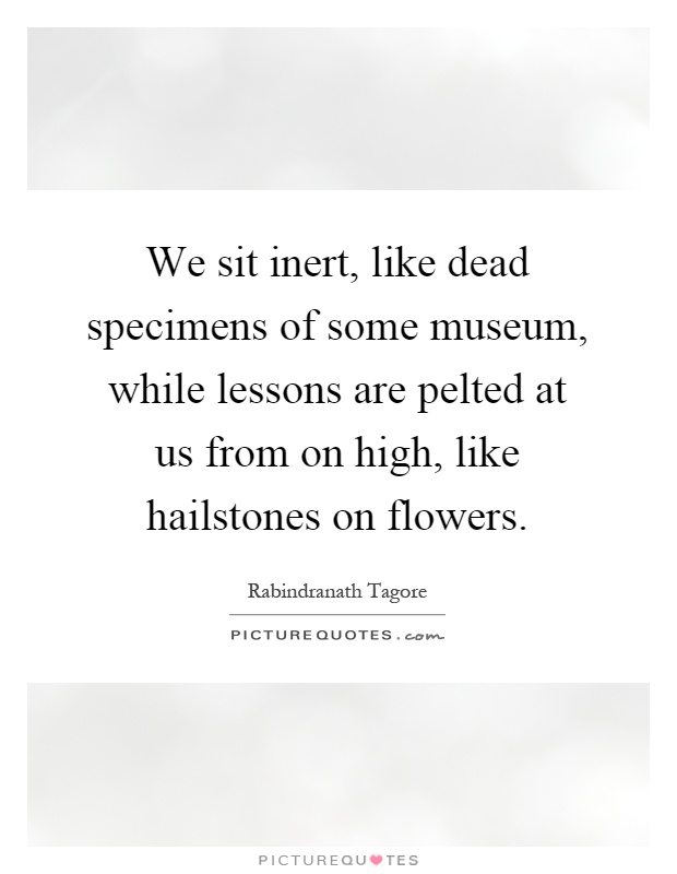 We sit inert, like dead specimens of some museum, while lessons are pelted at us from on high, like hailstones on flowers Picture Quote #1