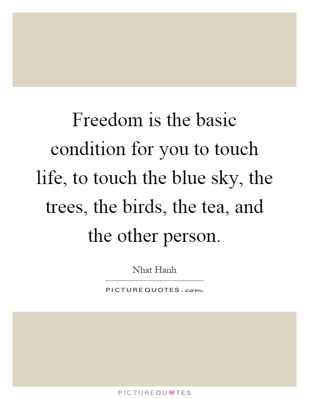 Freedom is the basic condition for you to touch life, to touch the blue sky, the trees, the birds, the tea, and the other person Picture Quote #1
