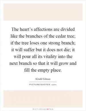 The heart’s affections are divided like the branches of the cedar tree; if the tree loses one strong branch; it will suffer but it does not die; it will pour all its vitality into the next branch so that it will grow and fill the empty place Picture Quote #1