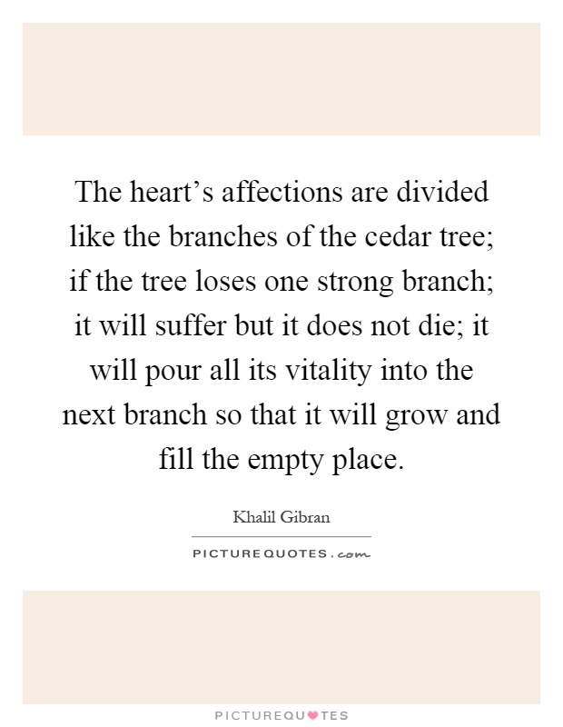 The heart's affections are divided like the branches of the cedar tree; if the tree loses one strong branch; it will suffer but it does not die; it will pour all its vitality into the next branch so that it will grow and fill the empty place Picture Quote #1