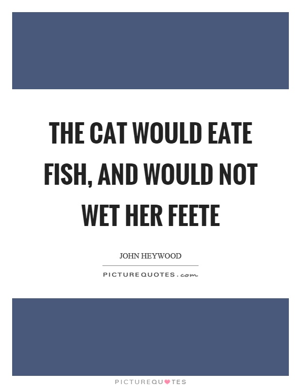 The cat would eate fish, and would not wet her feete Picture Quote #1