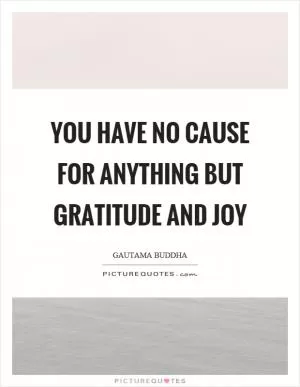 You have no cause for anything but gratitude and joy Picture Quote #1