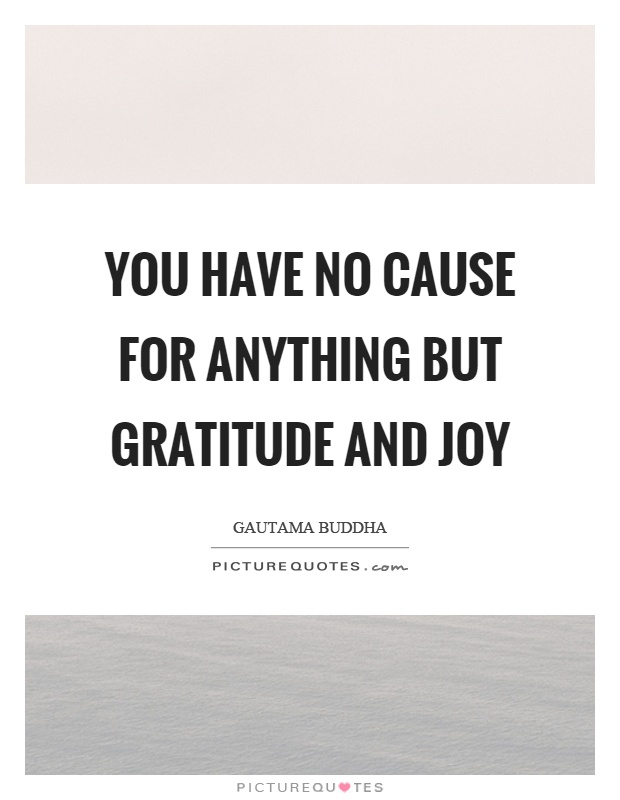 You have no cause for anything but gratitude and joy Picture Quote #1