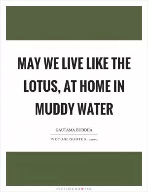 May we live like the lotus, at home in muddy water Picture Quote #1