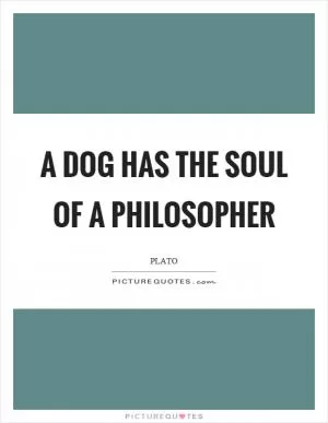 A dog has the soul of a philosopher Picture Quote #1
