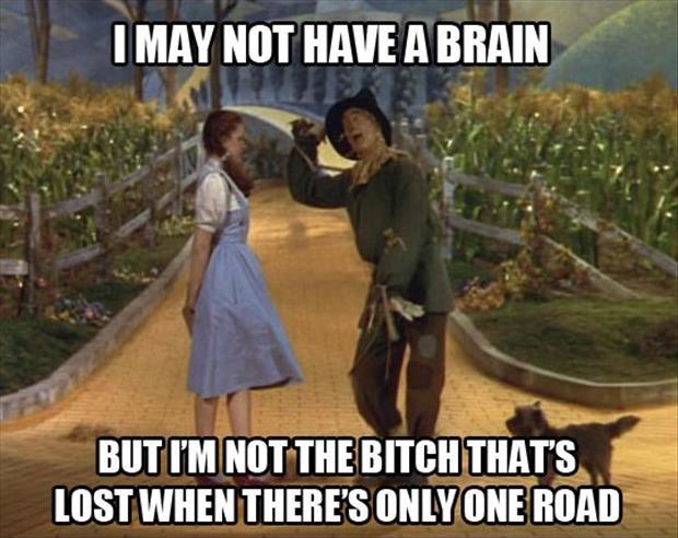 I may not have a brain, but I'm not the bitch that's lost when there's only one road Picture Quote #1