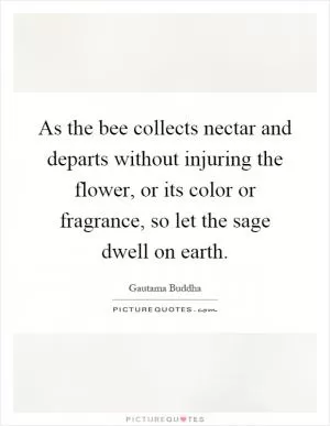 As the bee collects nectar and departs without injuring the flower, or its color or fragrance, so let the sage dwell on earth Picture Quote #1