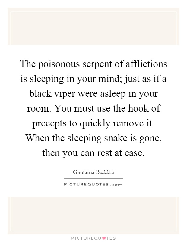 The poisonous serpent of afflictions is sleeping in your mind; just as if a black viper were asleep in your room. You must use the hook of precepts to quickly remove it. When the sleeping snake is gone, then you can rest at ease Picture Quote #1