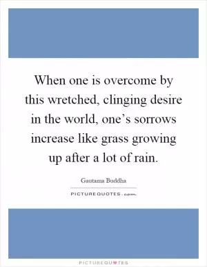 When one is overcome by this wretched, clinging desire in the world, one’s sorrows increase like grass growing up after a lot of rain Picture Quote #1
