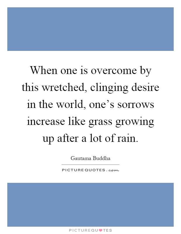 When one is overcome by this wretched, clinging desire in the world, one's sorrows increase like grass growing up after a lot of rain Picture Quote #1