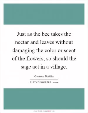Just as the bee takes the nectar and leaves without damaging the color or scent of the flowers, so should the sage act in a village Picture Quote #1
