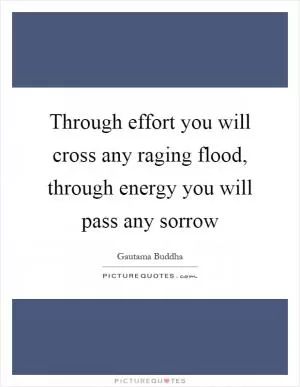 Through effort you will cross any raging flood, through energy you will pass any sorrow Picture Quote #1