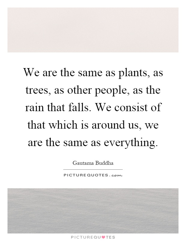 We are the same as plants, as trees, as other people, as the rain that falls. We consist of that which is around us, we are the same as everything Picture Quote #1