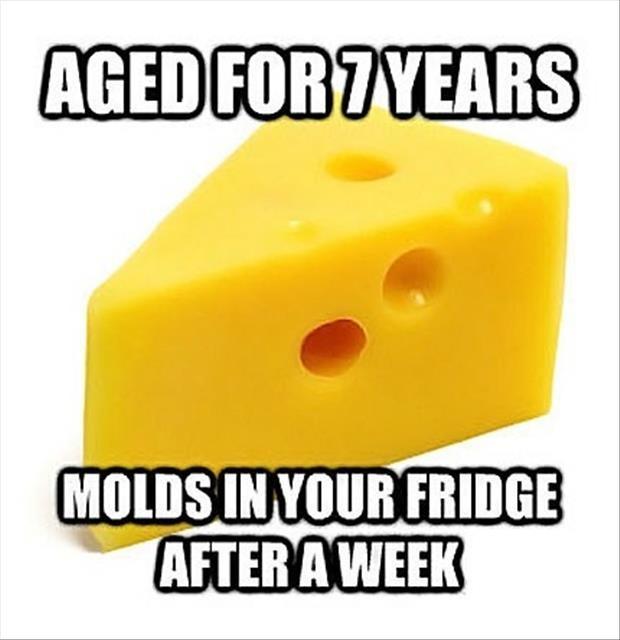Aged for 7 years. Molds in your fridge after a week Picture Quote #1