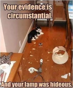 Your evidence is circumstantial. And your lamp was hideous Picture Quote #1