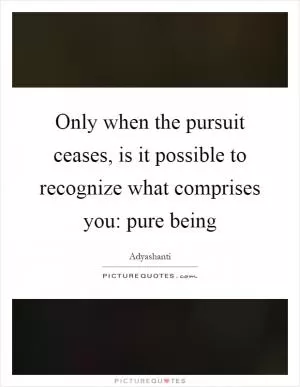 Only when the pursuit ceases, is it possible to recognize what comprises you: pure being Picture Quote #1
