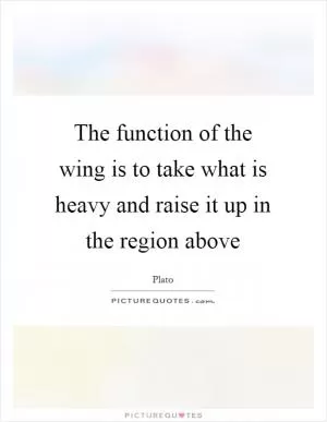The function of the wing is to take what is heavy and raise it up in the region above Picture Quote #1