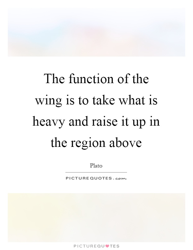 The function of the wing is to take what is heavy and raise it up in the region above Picture Quote #1