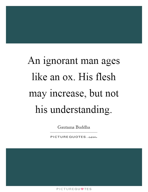 An ignorant man ages like an ox. His flesh may increase, but not his understanding Picture Quote #1