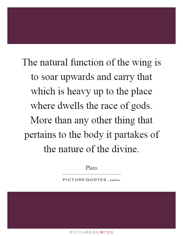 The natural function of the wing is to soar upwards and carry that which is heavy up to the place where dwells the race of gods. More than any other thing that pertains to the body it partakes of the nature of the divine Picture Quote #1