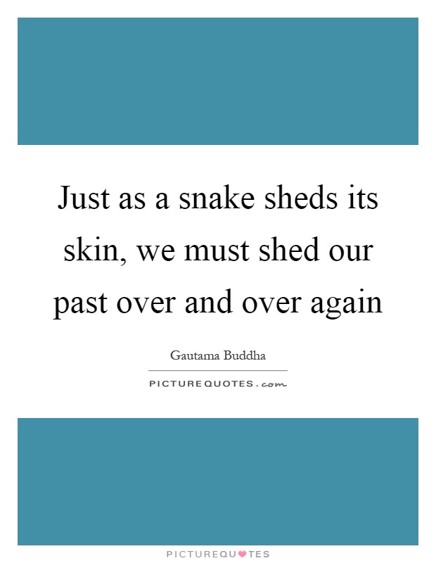 Just as a snake sheds its skin, we must shed our past over and over again Picture Quote #1