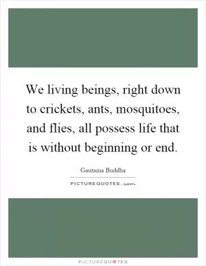 We living beings, right down to crickets, ants, mosquitoes, and flies, all possess life that is without beginning or end Picture Quote #1
