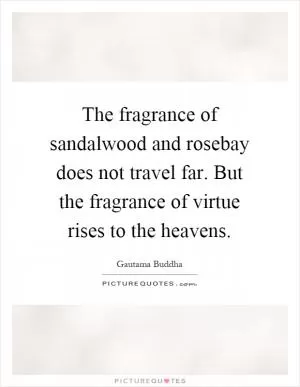 The fragrance of sandalwood and rosebay does not travel far. But the fragrance of virtue rises to the heavens Picture Quote #1
