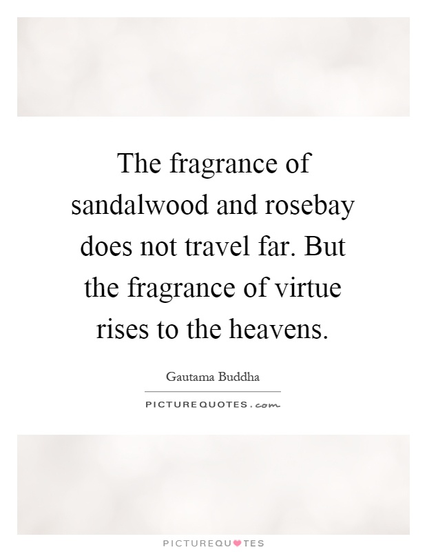 The fragrance of sandalwood and rosebay does not travel far. But the fragrance of virtue rises to the heavens Picture Quote #1