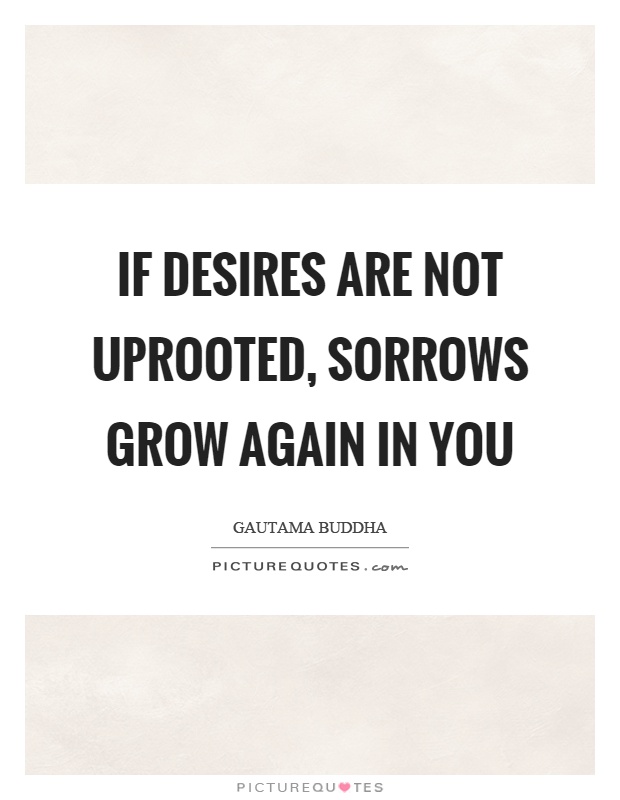 If desires are not uprooted, sorrows grow again in you Picture Quote #1