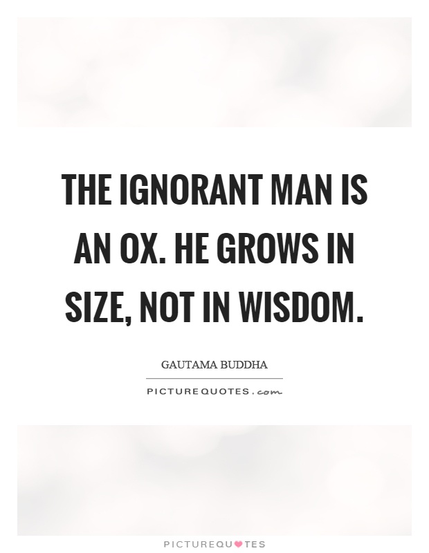 The ignorant man is an ox. He grows in size, not in wisdom Picture Quote #1