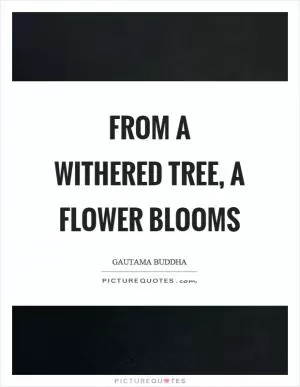 From a withered tree, a flower blooms Picture Quote #1