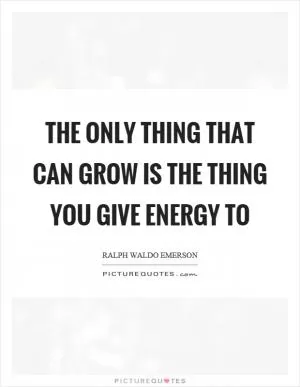 The only thing that can grow is the thing you give energy to Picture Quote #1