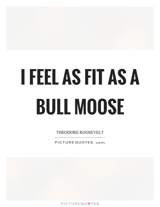 I feel as fit as a bull moose Picture Quote #1