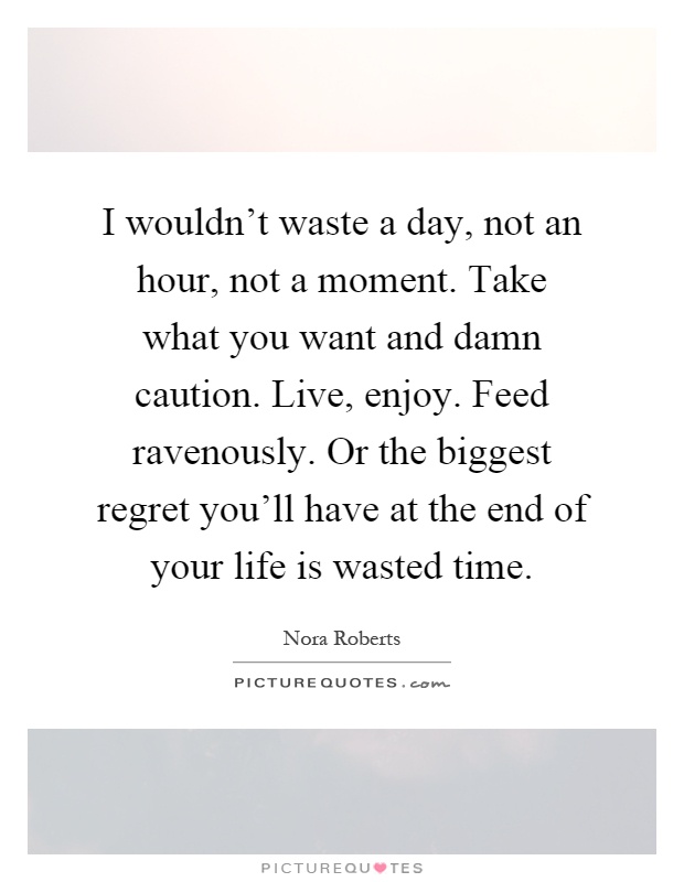 I wouldn't waste a day, not an hour, not a moment. Take what you want and damn caution. Live, enjoy. Feed ravenously. Or the biggest regret you'll have at the end of your life is wasted time Picture Quote #1