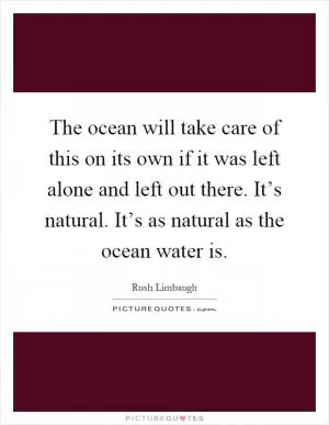 The ocean will take care of this on its own if it was left alone and left out there. It’s natural. It’s as natural as the ocean water is Picture Quote #1