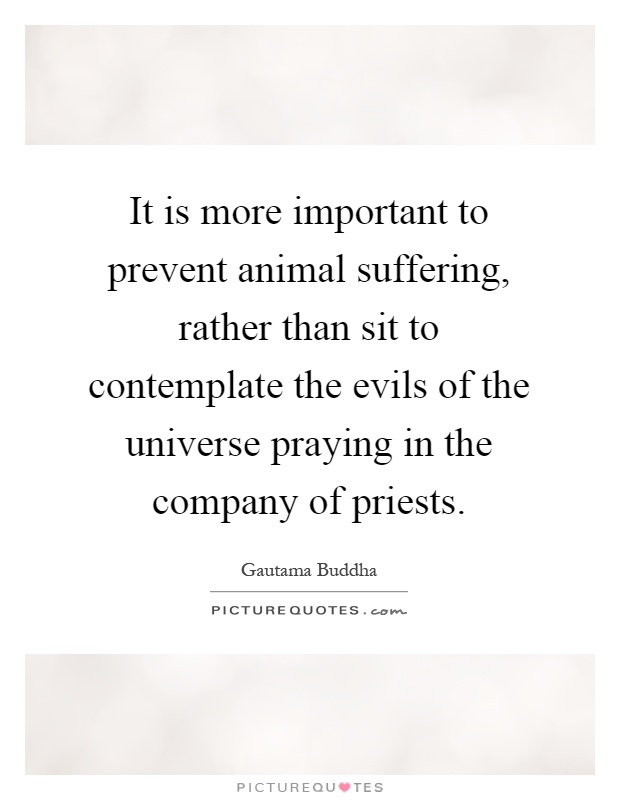 It is more important to prevent animal suffering, rather than sit to contemplate the evils of the universe praying in the company of priests Picture Quote #1
