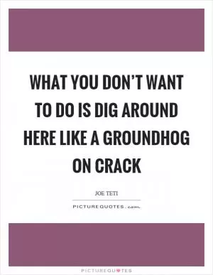What you don’t want to do is dig around here like a groundhog on crack Picture Quote #1