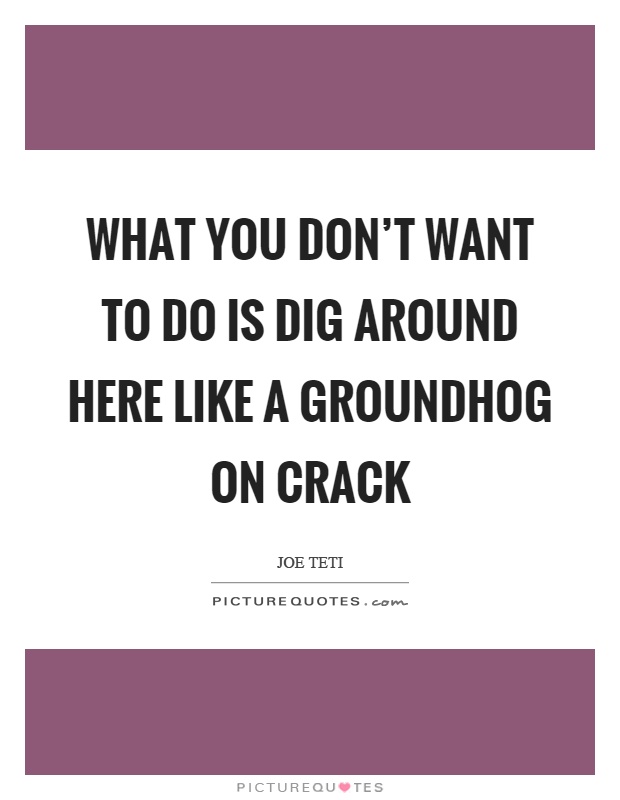 What you don't want to do is dig around here like a groundhog on crack Picture Quote #1