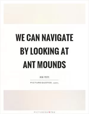 We can navigate by looking at ant mounds Picture Quote #1