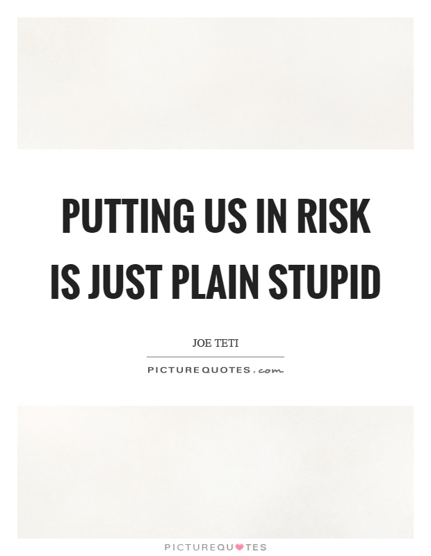 Putting us in risk is just plain stupid Picture Quote #1