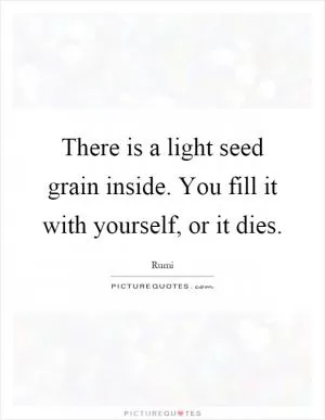 There is a light seed grain inside. You fill it with yourself, or it dies Picture Quote #1