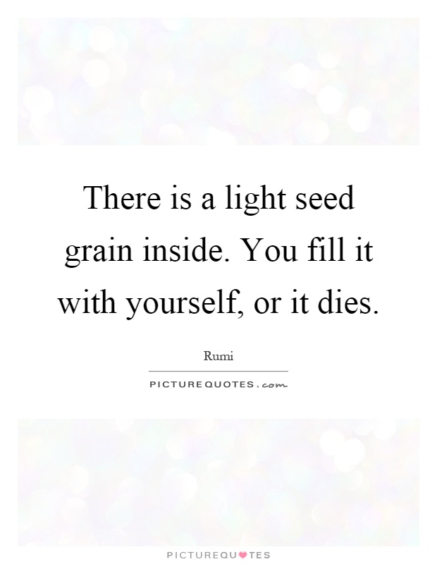 There is a light seed grain inside. You fill it with yourself, or it dies Picture Quote #1