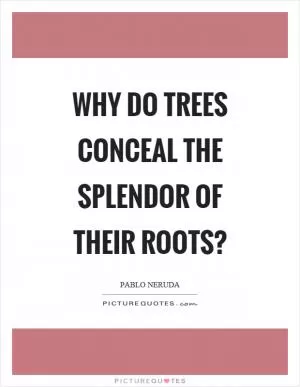 Why do trees conceal the splendor of their roots? Picture Quote #1