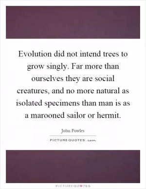 Evolution did not intend trees to grow singly. Far more than ourselves they are social creatures, and no more natural as isolated specimens than man is as a marooned sailor or hermit Picture Quote #1
