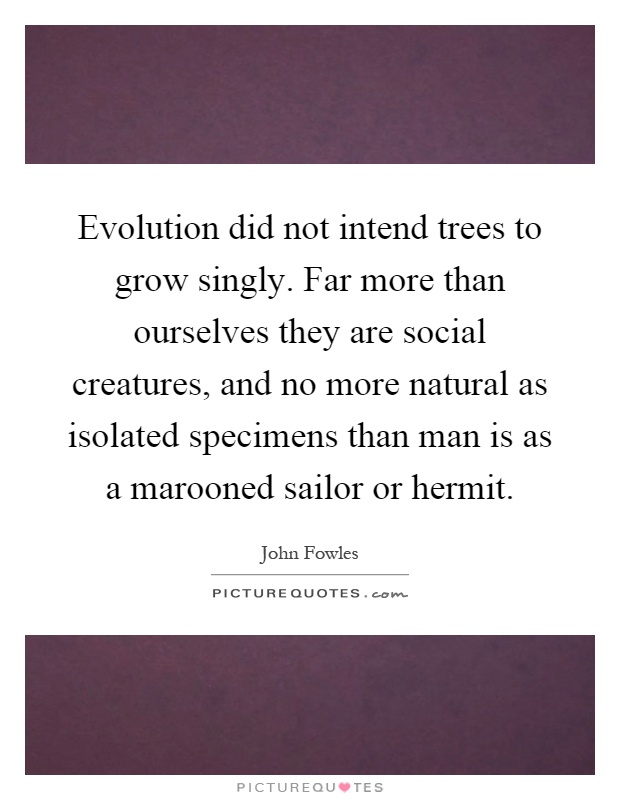 Evolution did not intend trees to grow singly. Far more than ourselves they are social creatures, and no more natural as isolated specimens than man is as a marooned sailor or hermit Picture Quote #1