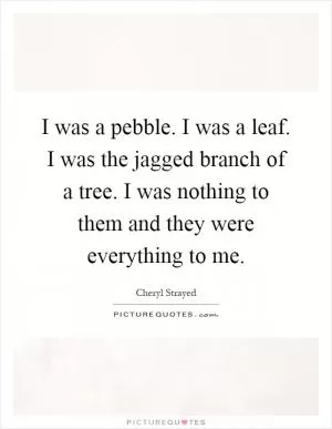 I was a pebble. I was a leaf. I was the jagged branch of a tree. I was nothing to them and they were everything to me Picture Quote #1